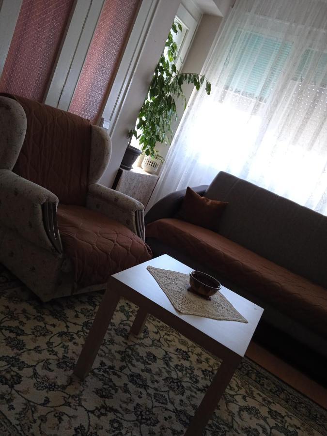 Apartman Nikolic Bor Exterior photo