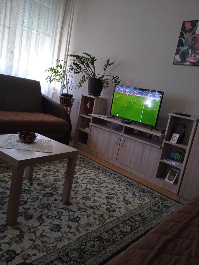 Apartman Nikolic Bor Exterior photo